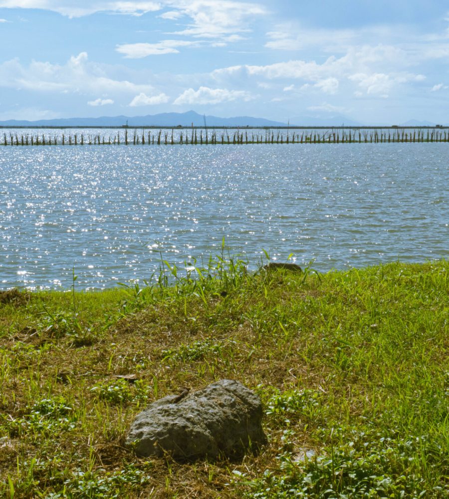 Laguna de Bay